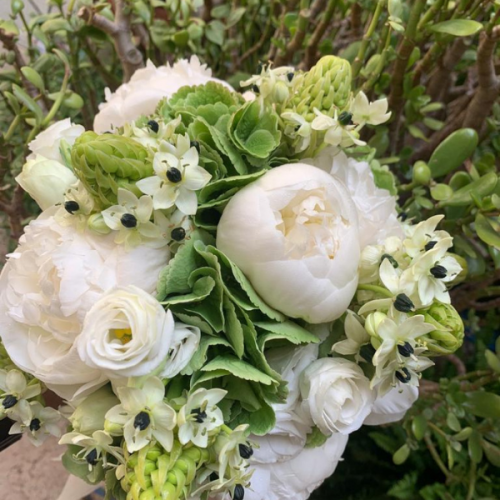 Bouquet peonie ornitogallo