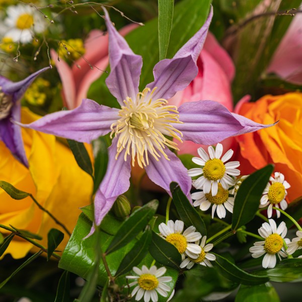 Bouquet Misto Estivo Campestre